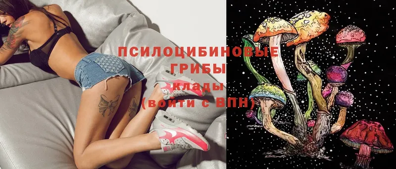 Галлюциногенные грибы Cubensis  МЕГА сайт  Буй 